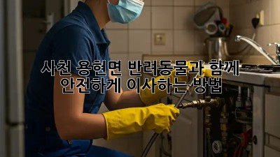사천 용현면 반려동물과 함께 안전하게 이사하는 방법