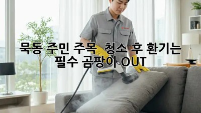 묵동 주민 주목! 🏡 청소 후 환기는 필수! 곰팡이 OUT!