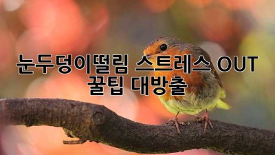 눈두덩이떨림, 스트레스 OUT! 🚫 꿀팁 대방출 🍯