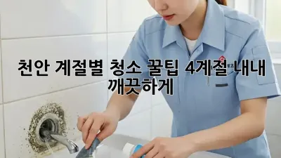 천안🏡 계절별 청소 꿀팁: 4계절 내내 깨끗하게✨